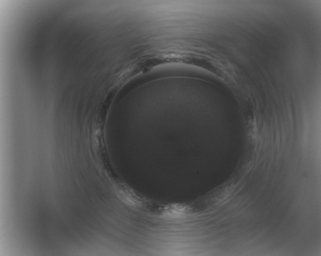 X0000068300235200604241345