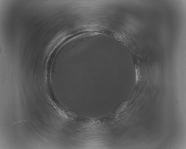 X0000068300243200604241344