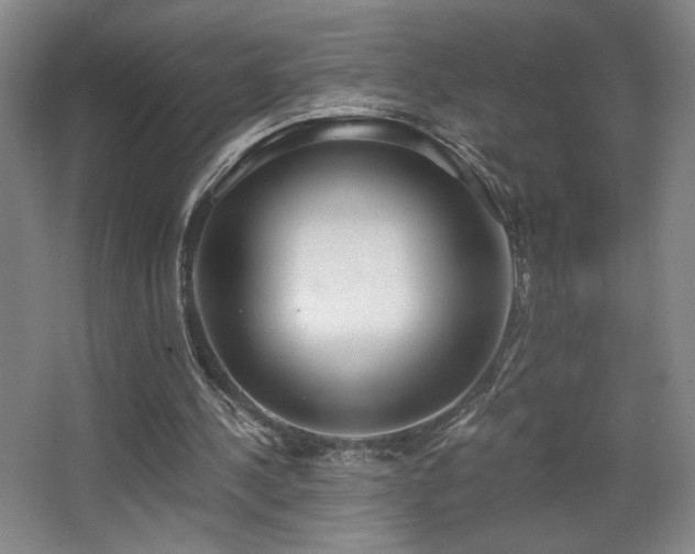 X0000068300244200604241344