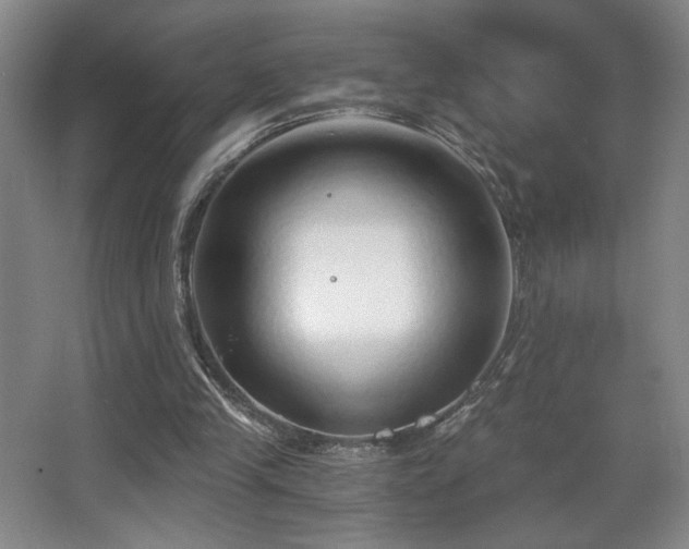 X0000068300245200604241344