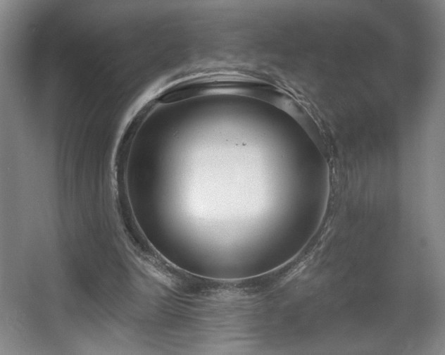 X0000068300246200604241344