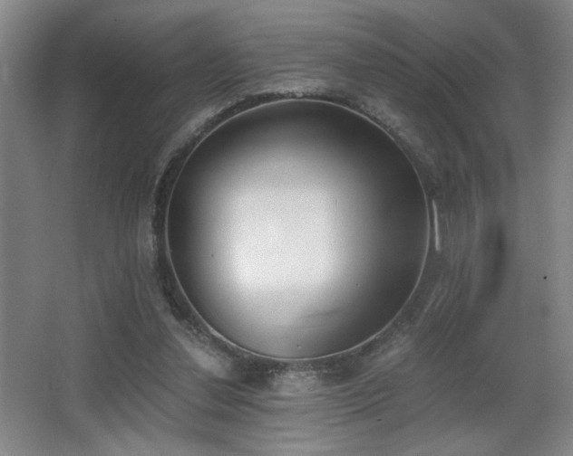 X0000068300252200604241344