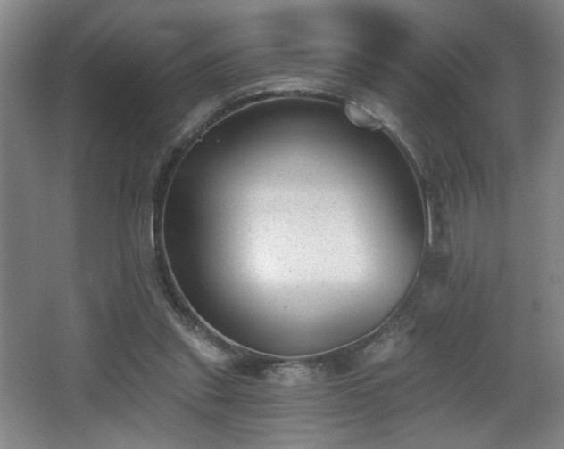 X0000068300253200604241344