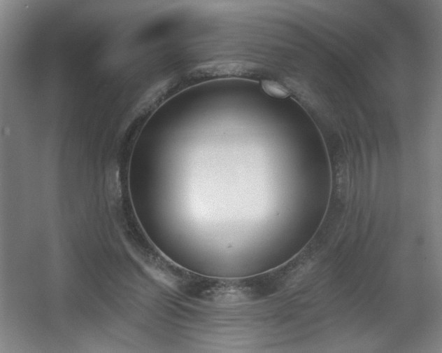 X0000068300254200604241344