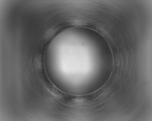 X0000068300255200604241344