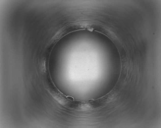 X0000068300262200604241345