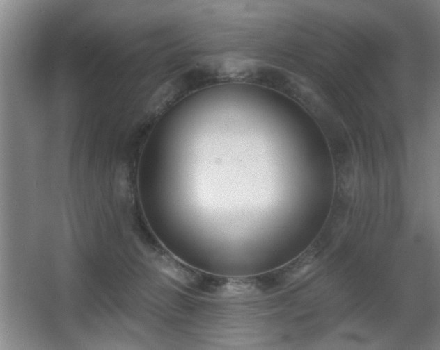 X0000068300270200604241345
