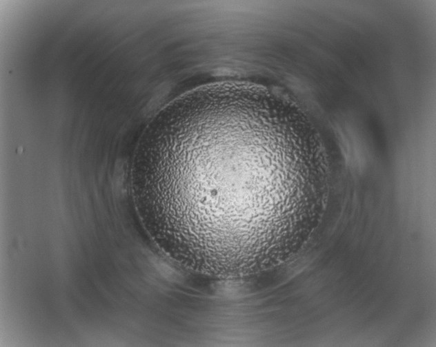 X0000068300273200604241345