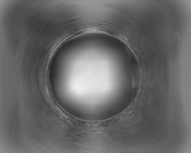 X0000068300289200604241344