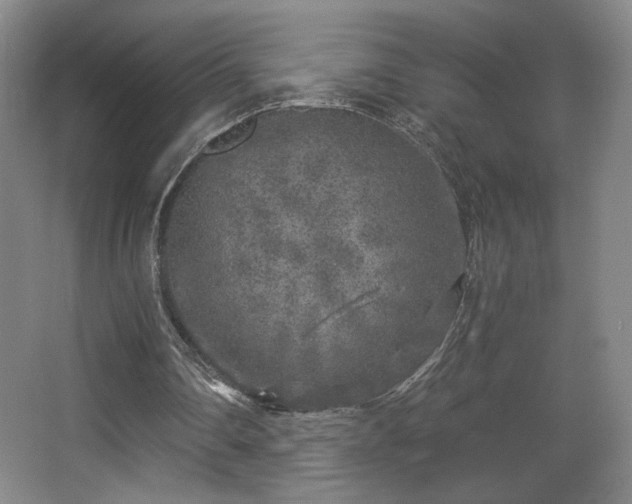 X0000068300290200604241344