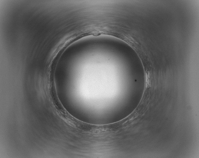 X0000068300291200604241344