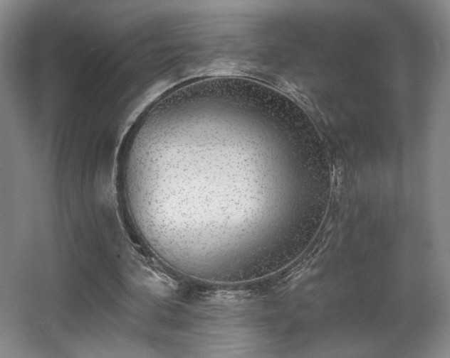 X0000068300292200604241344