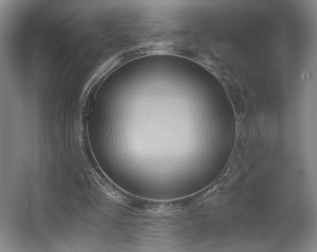 X0000068300293200604241344