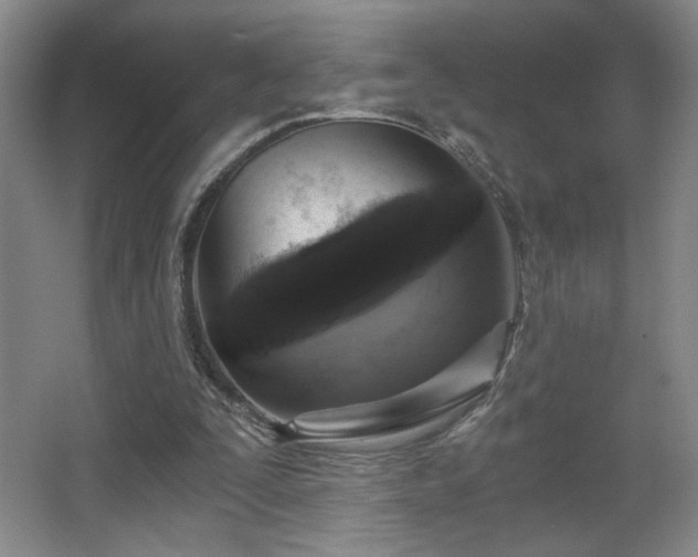 X0000068300295200604241344