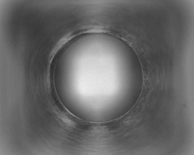 X0000068300296200604241344