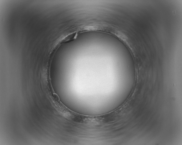 X0000068300297200604241344
