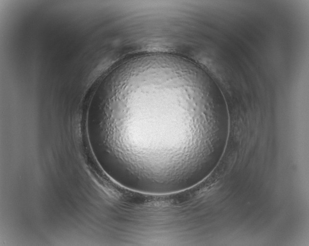 X0000068300299200604241344
