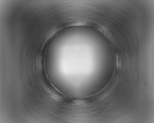 X0000068300300200604241344