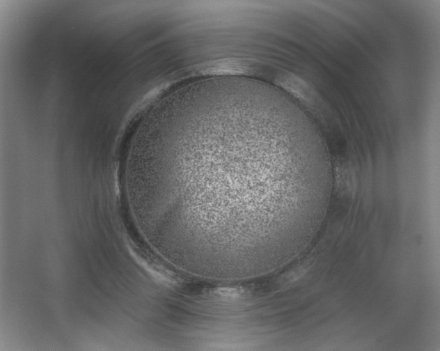 X0000068300302200604241344