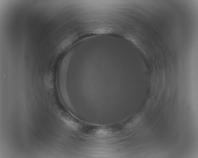 X0000068300303200604241344