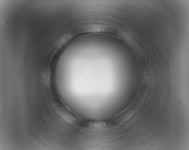 X0000068300304200604241344