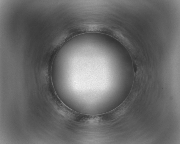 X0000068300306200604241344