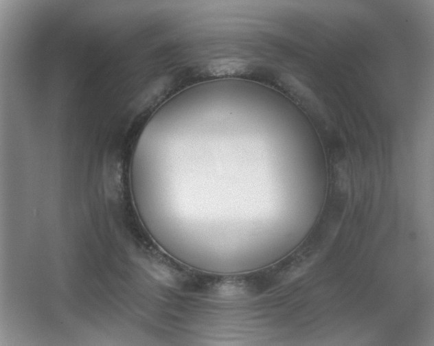 X0000068300308200604241344