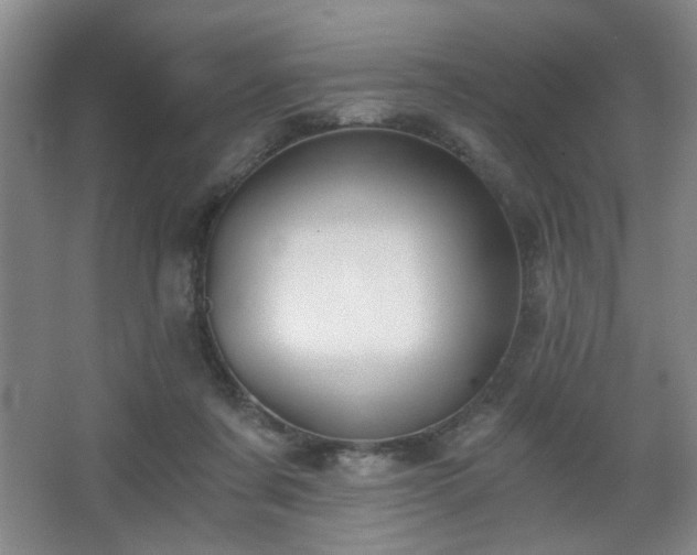 X0000068300311200604241344