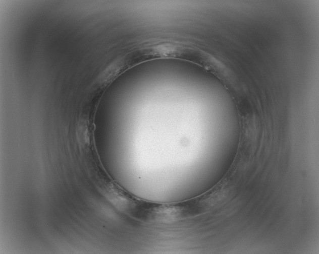 X0000068300313200604241344