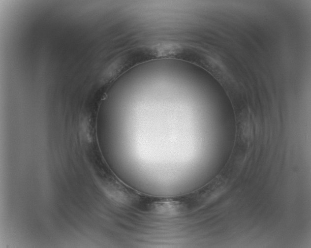 X0000068300316200604241344