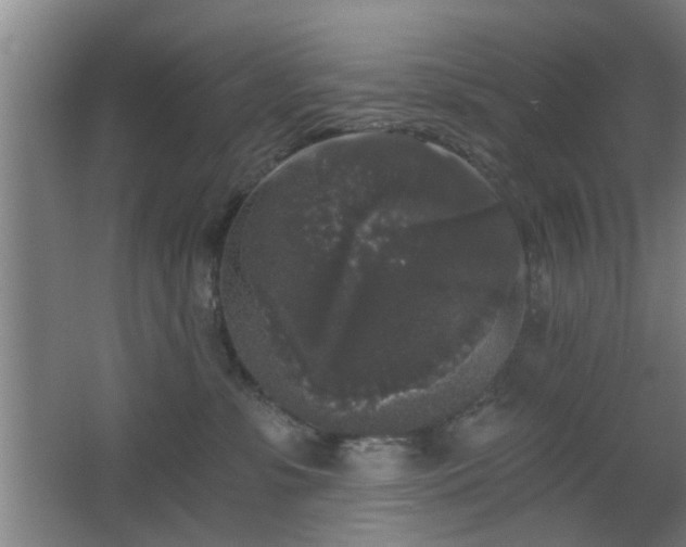 X0000068300331200604241344