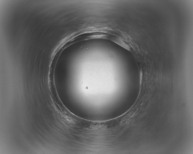 X0000068300340200604241343
