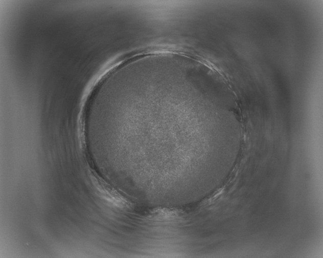 X0000068300343200604241343