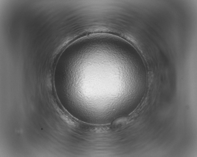 X0000068300345200604241343