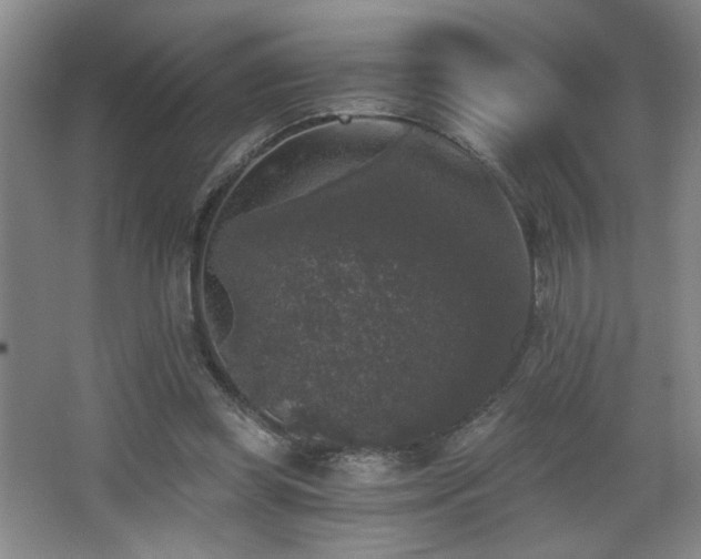 X0000068300349200604241343