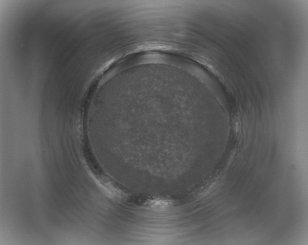X0000068300352200604241343