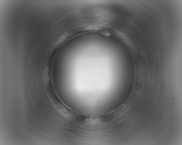 X0000068300354200604241343