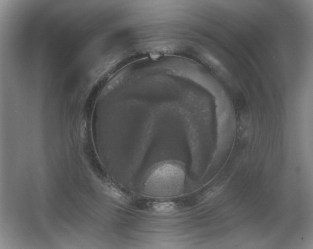 X0000068300355200604241343