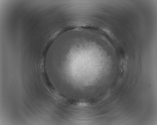 X0000068300360200604241343