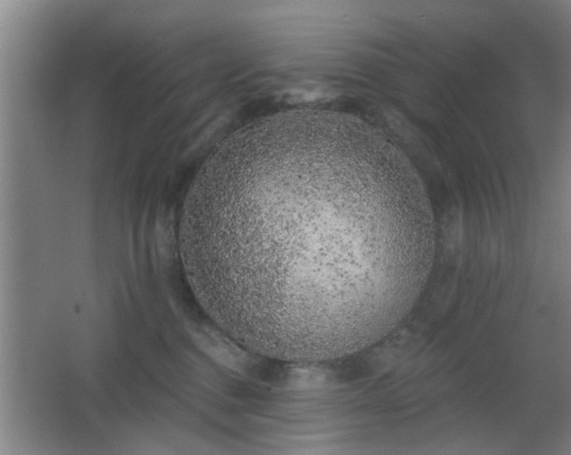 X0000068300376200604241343