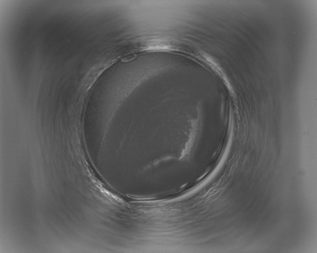 X0000068300385200604241343