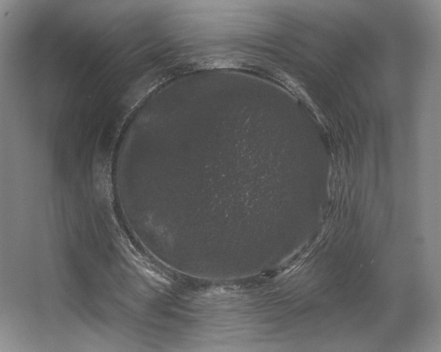 X0000068300386200604241343
