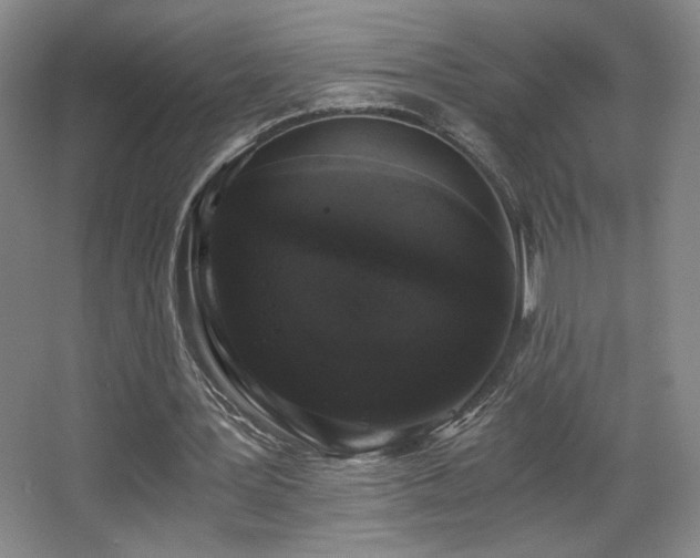 X0000068300387200604241343