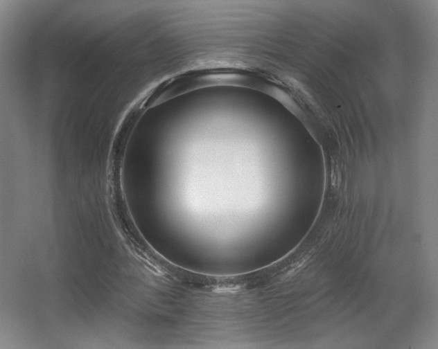 X0000068300388200604241343
