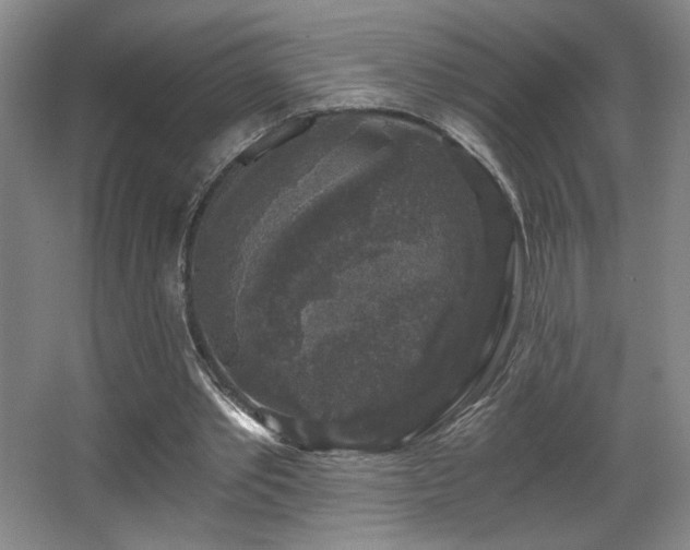 X0000068300389200604241343