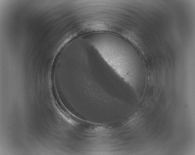 X0000068300390200604241343