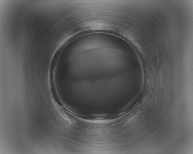 X0000068300391200604241343
