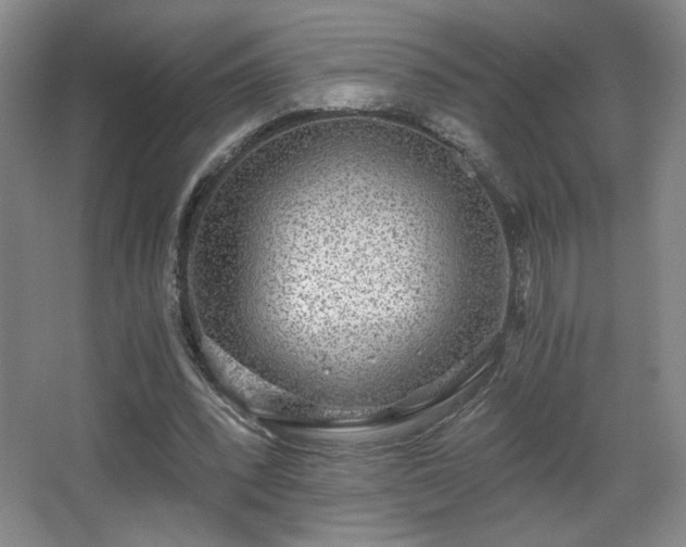 X0000068300392200604241343