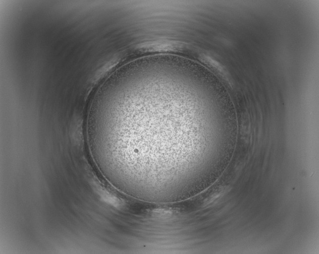 X0000068300394200604241342