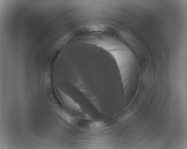 X0000068300402200604241342